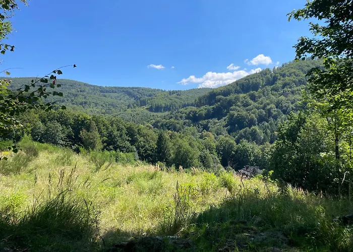 Cts Krysztal Gorski Appartement *